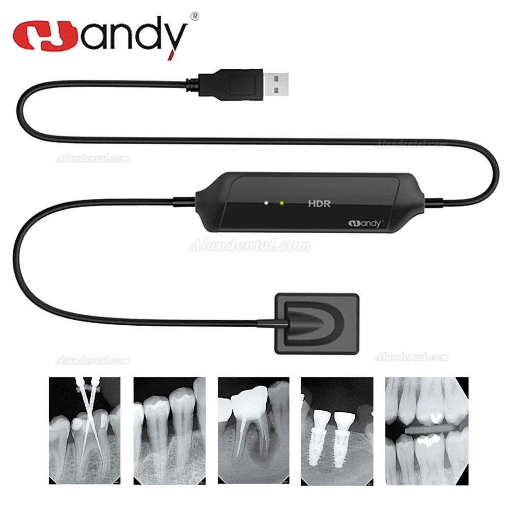 Handy HDR-600A Digital Intraoral Sensors Dental Xray Imaging Sensor System